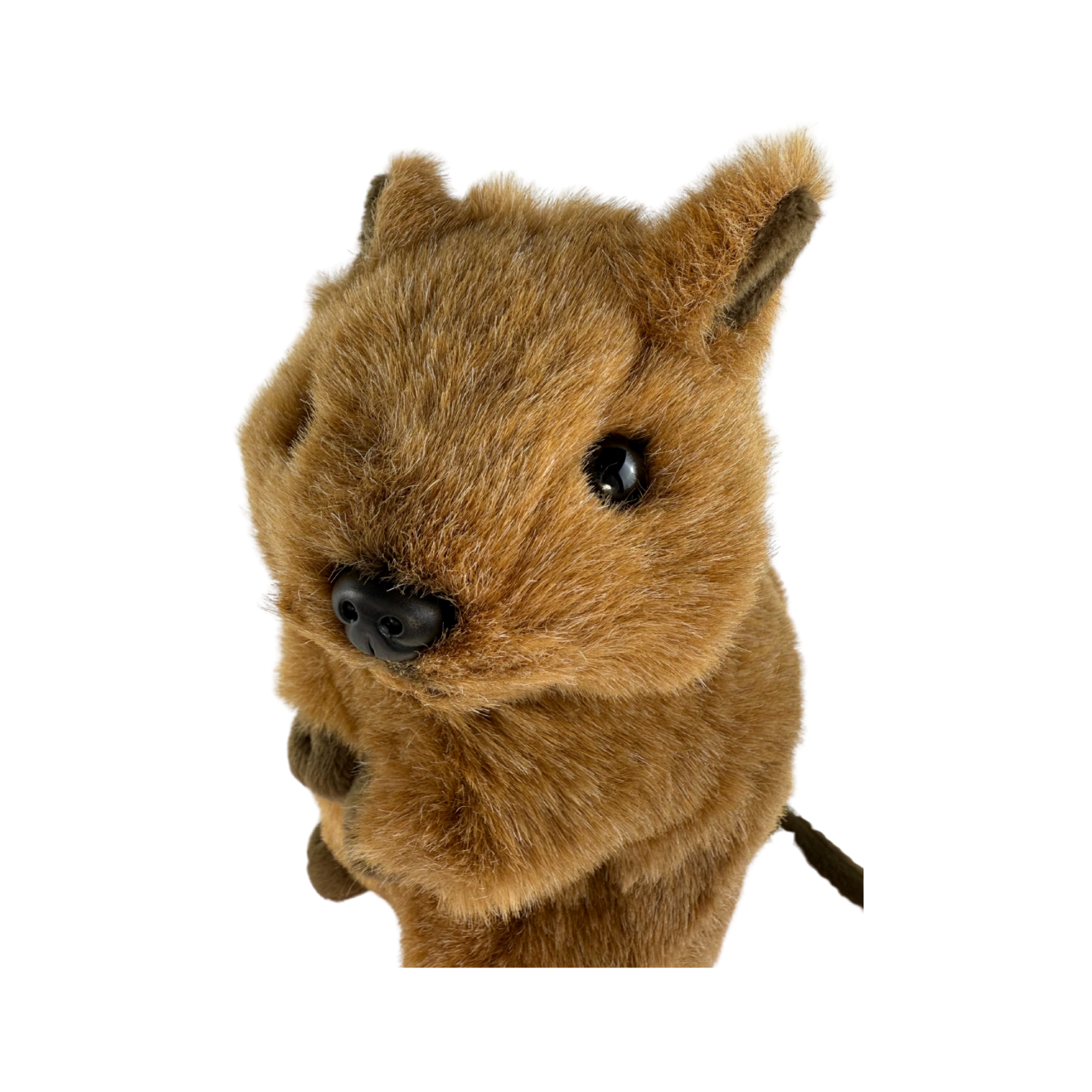 Plush toy resembling a beaver on a white background