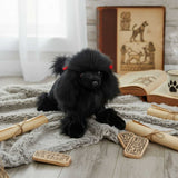 Romeo black Poodle plush crouching on blanket with scrolls, tablets, and books.