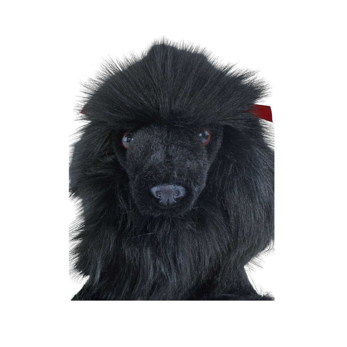 Romeo black Poodle plush close up face
