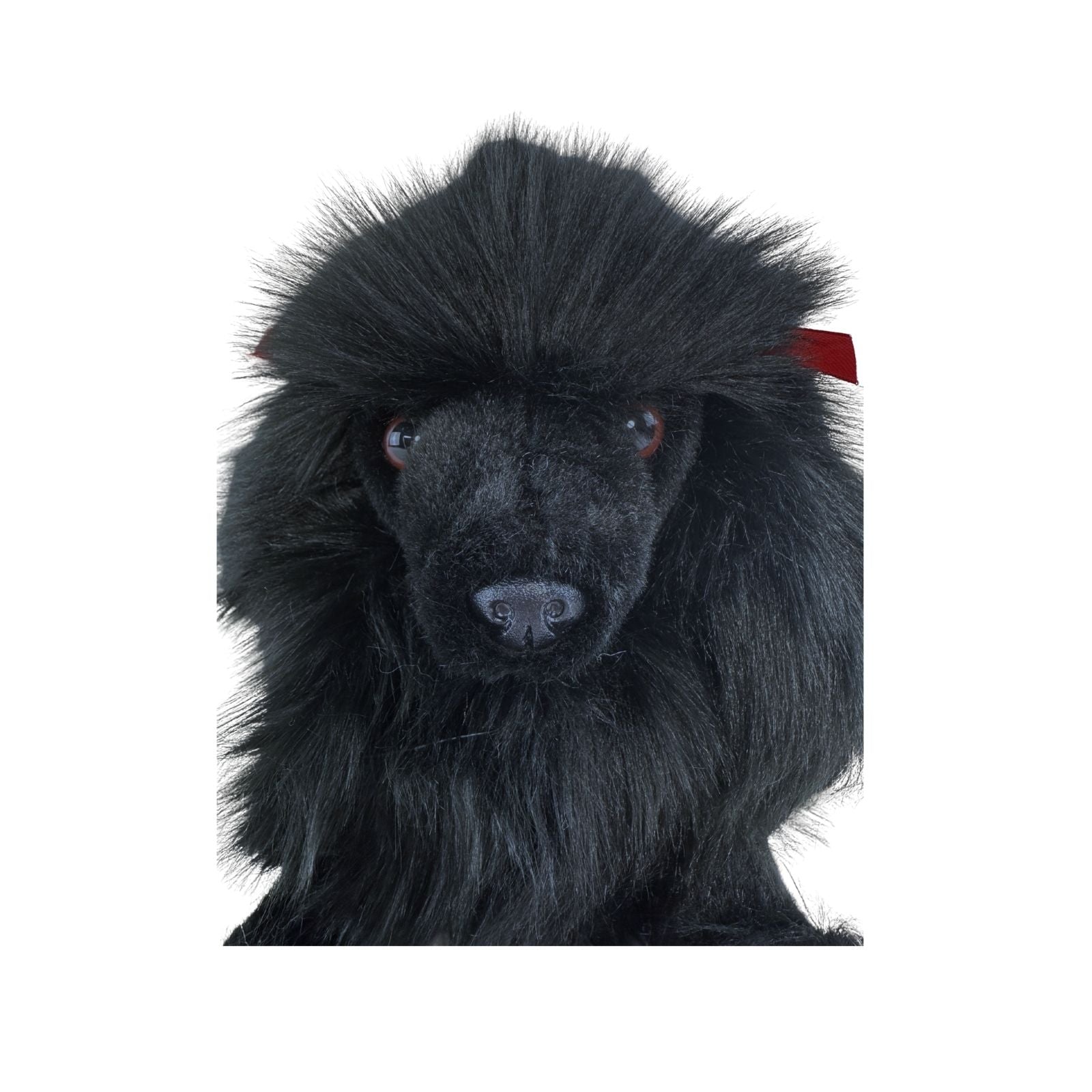 Romeo black Poodle plush close up face
