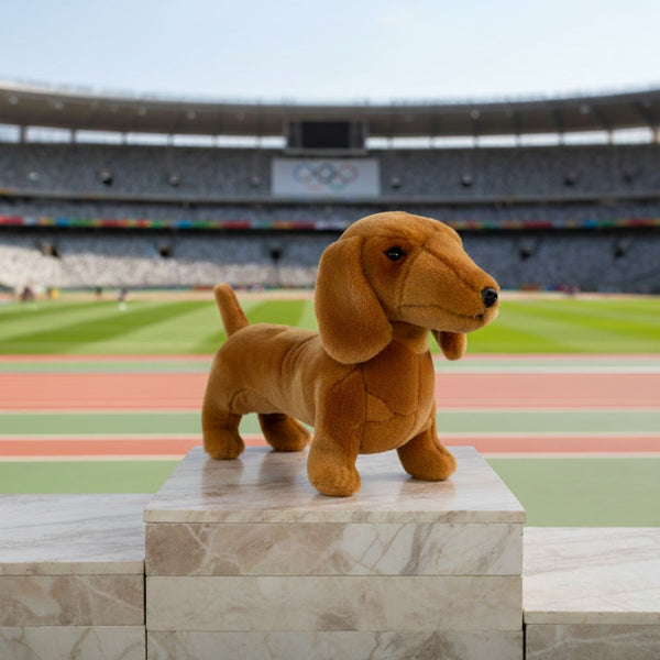 Sadie - Dachshund - 36cm standing, red