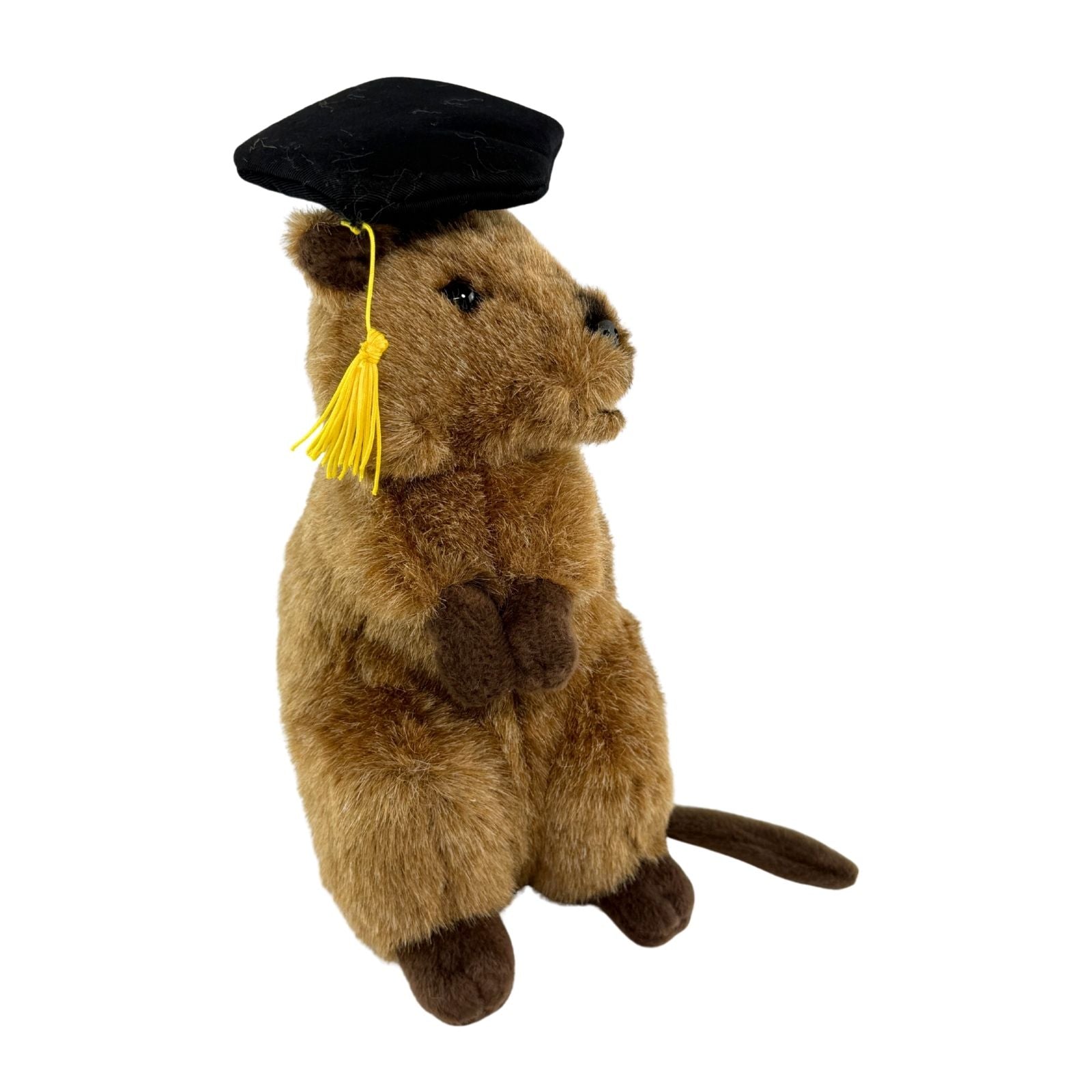 Sheldon quokka plush wearing graduation hat