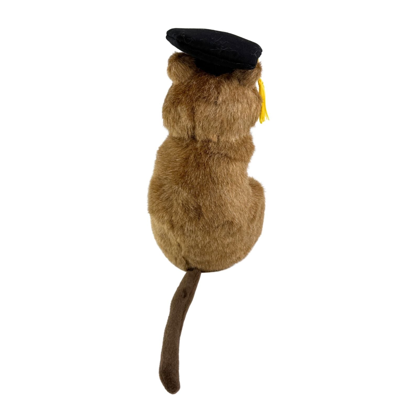 Sheldon quokka plush wearing graduation hat
