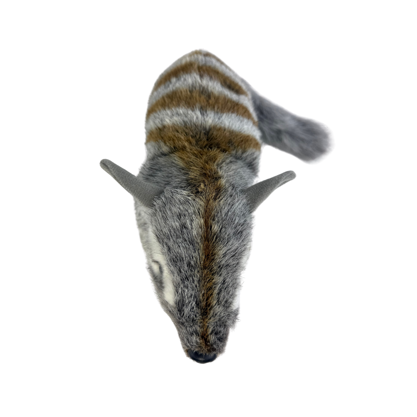 Plush toy resembling a Numbat with gray and brown fur on a white background