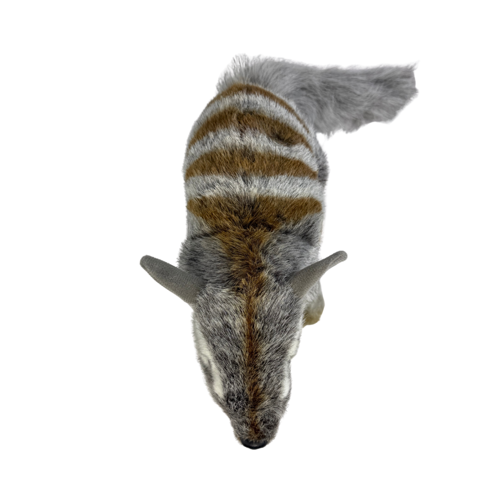 Plush toy resembling a Numbat on a white background
