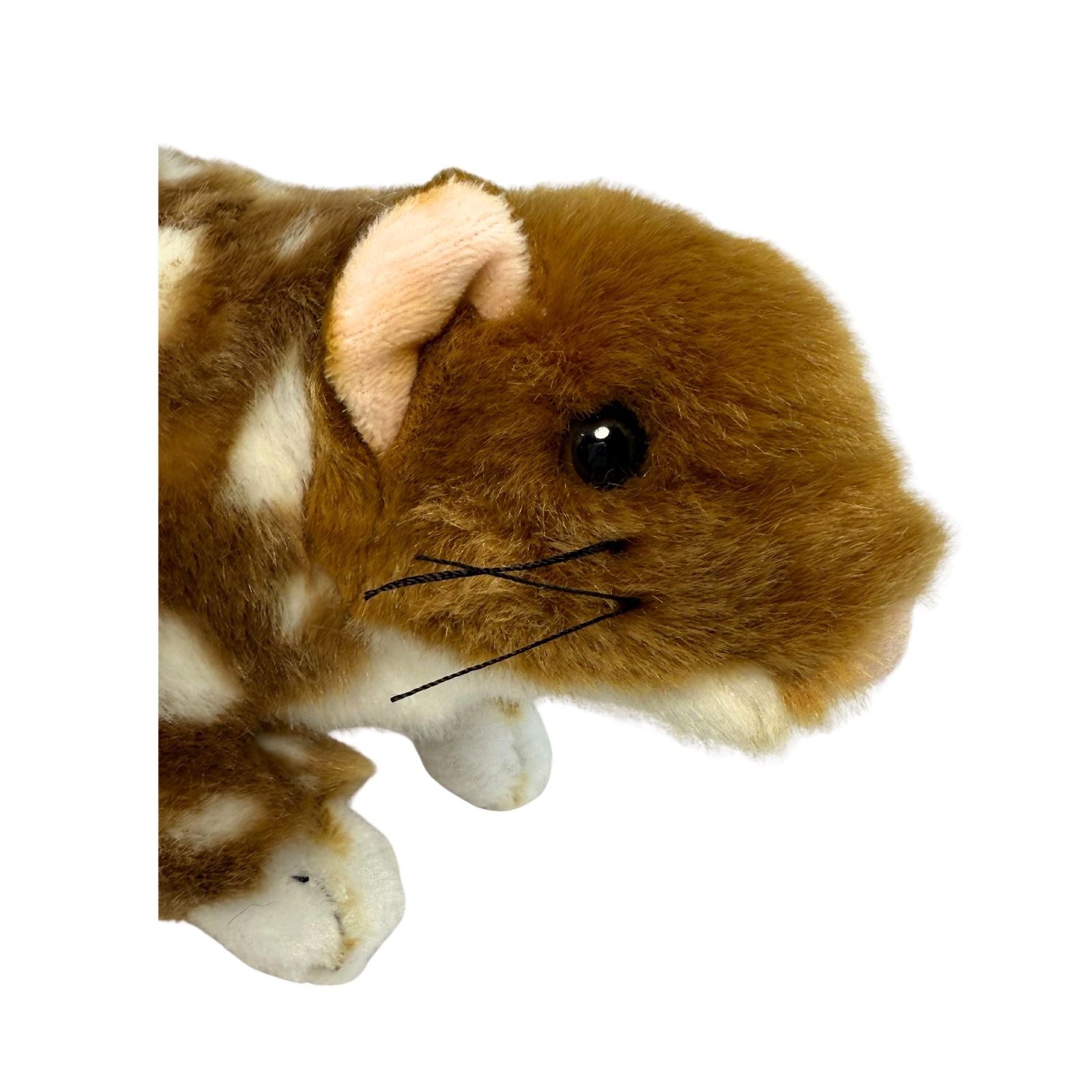 Eastern Quoll a realistic soft plush toy