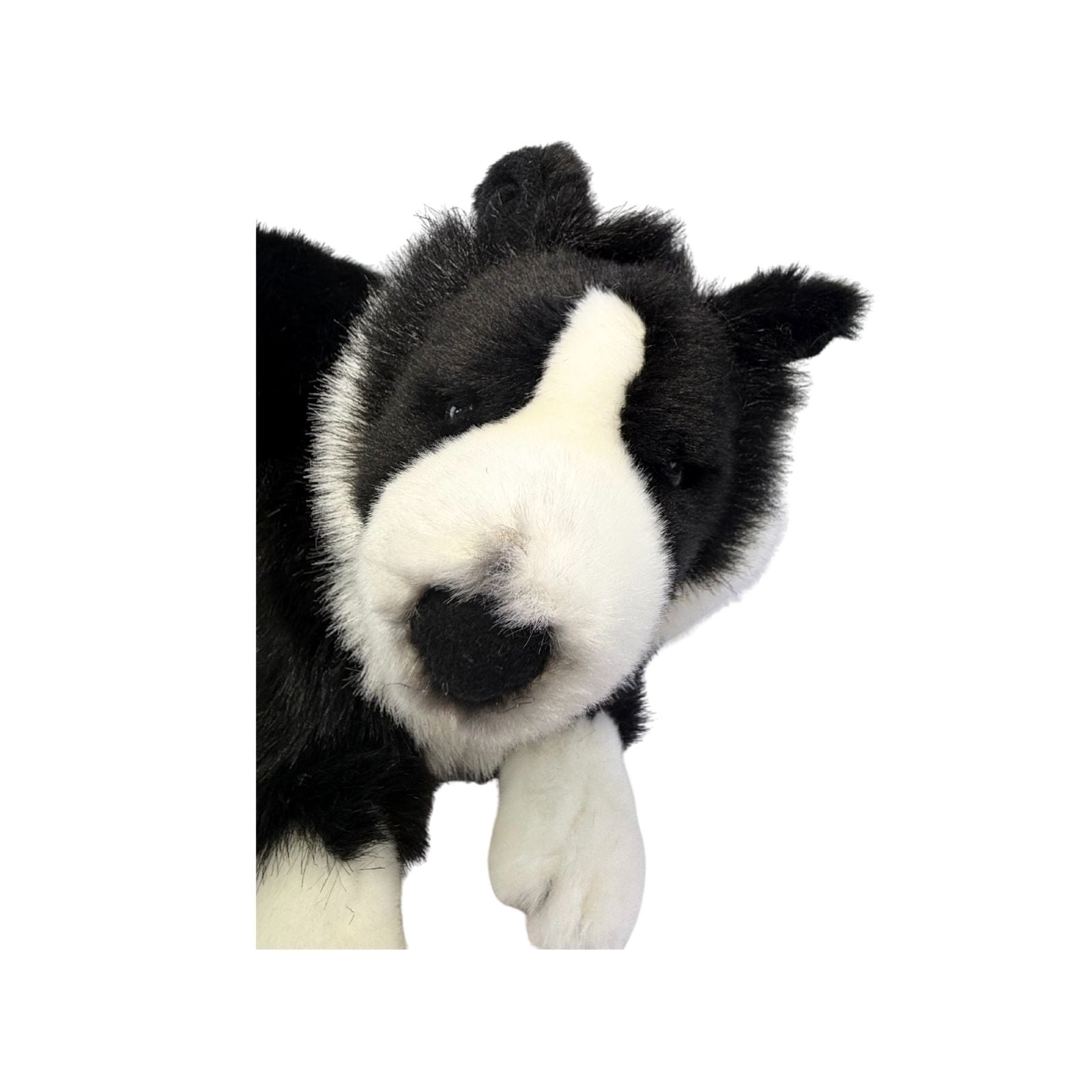 Starsky Border Collie plush toy close up face