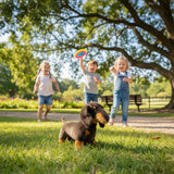 Stretch Dachshund plush standing on grass with children playing frisbee in park