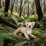 Stuffed dingo toy in a forest setting