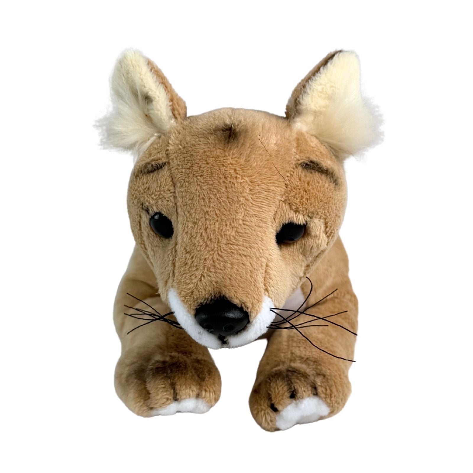 Plush toy resembling a thylacine on a white background