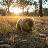 Plush toy resembling a Wombat in a natural setting with trees and sunlight.