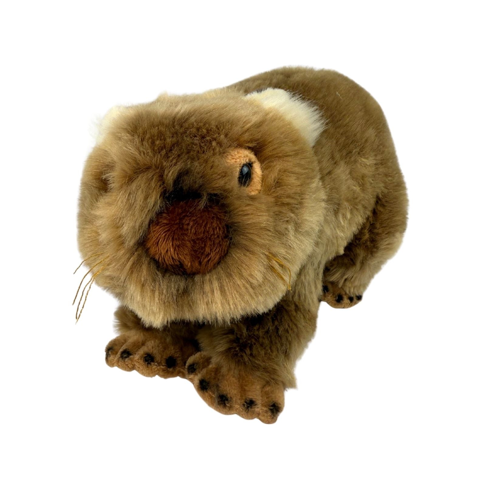 Plush toy resembling a Wombat on a white background