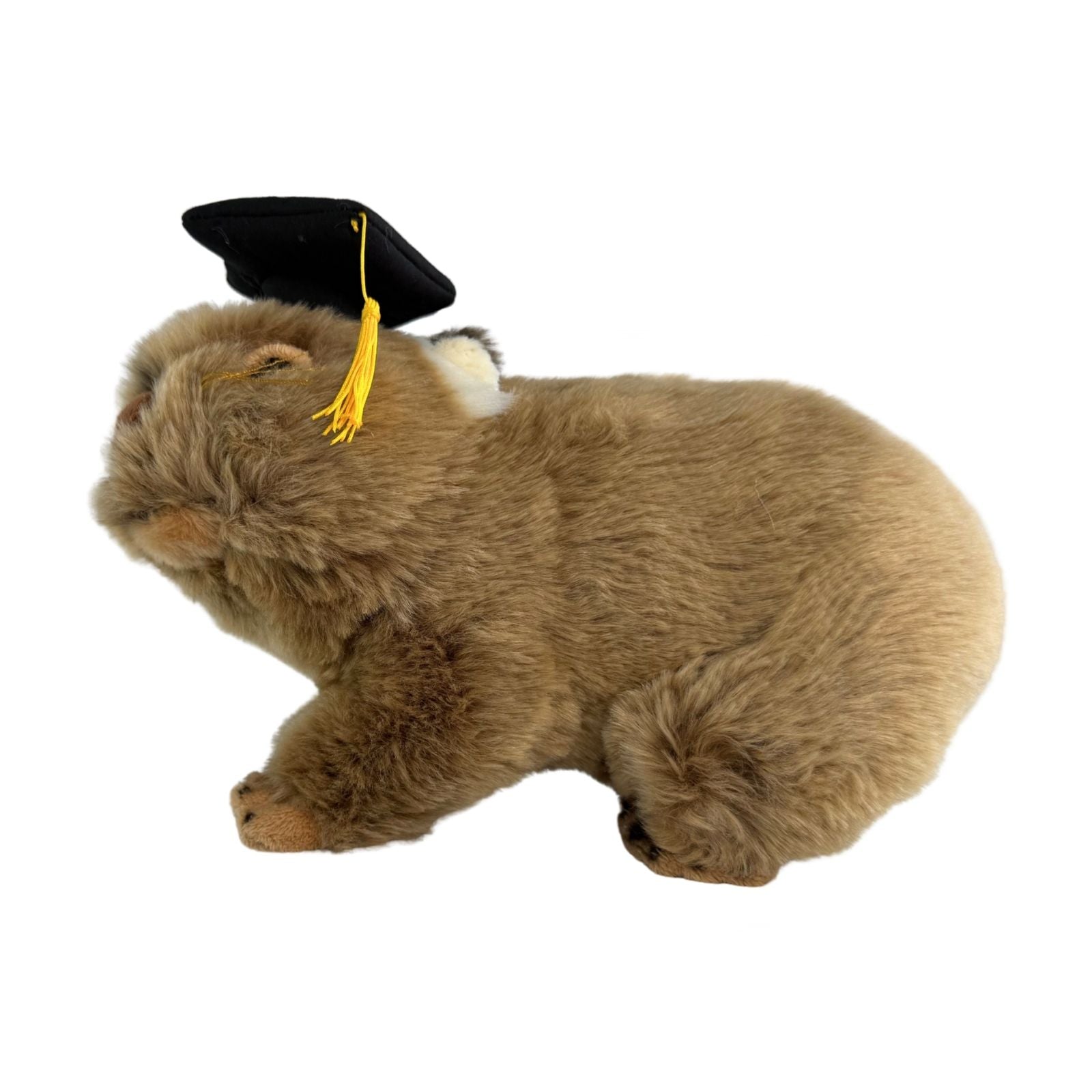 Tina wombat plush wearing graduation hat