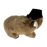 Tina wombat plush wearing graduation hat