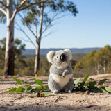 Tinker a quality plush Koala toy in mountain