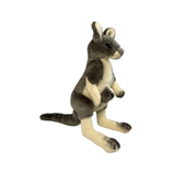 Plush toy kangaroo on a white background