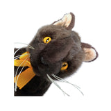 Trixie Burmese kitten plush toy close up
