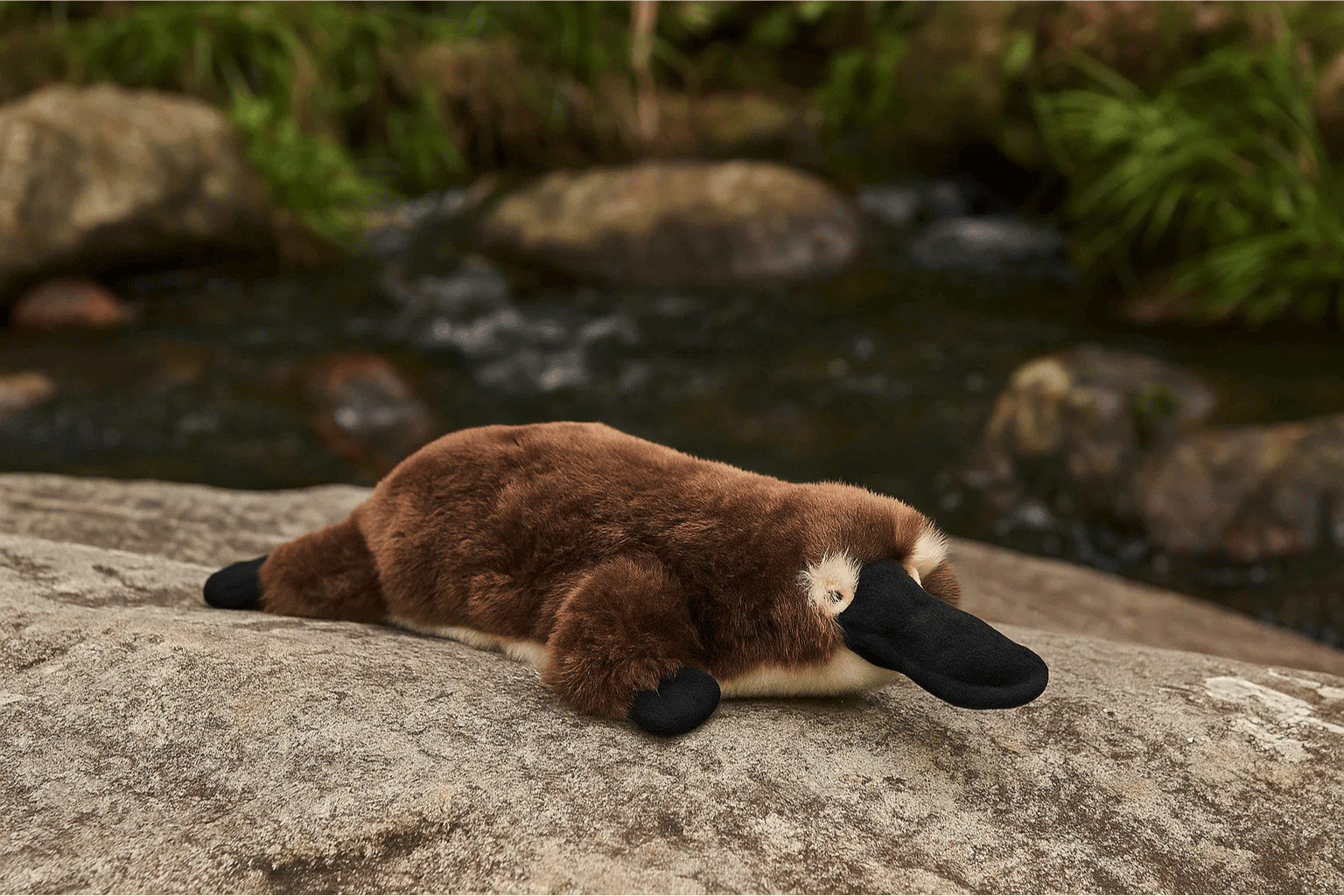 Plush toy platypus on a rock with a natural background