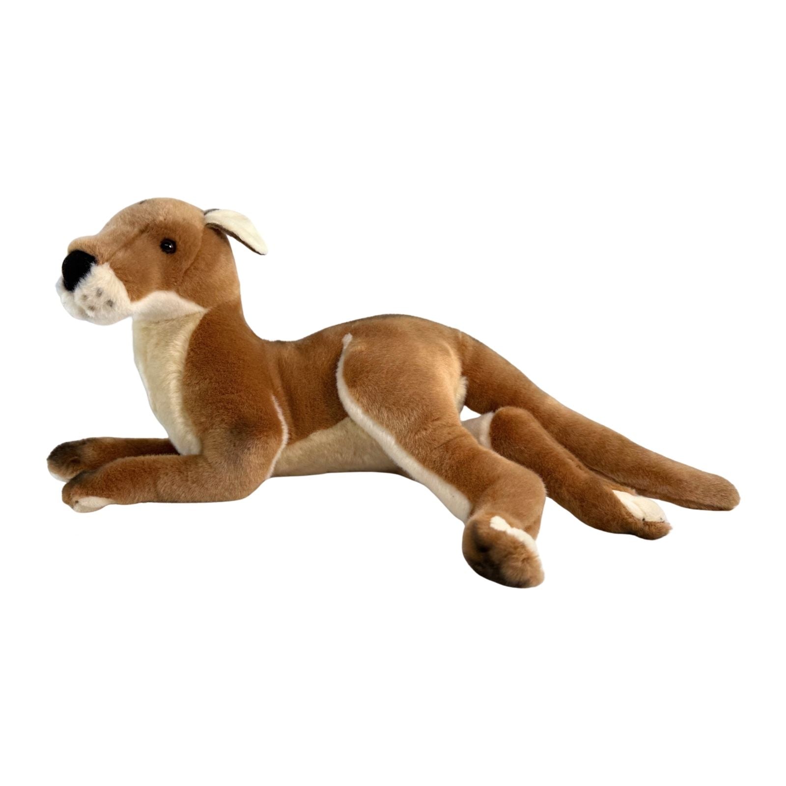 Plush toy kangaroo on a white background