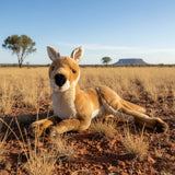 Plush kangaroo toy in a desert landscape with clear blue sky