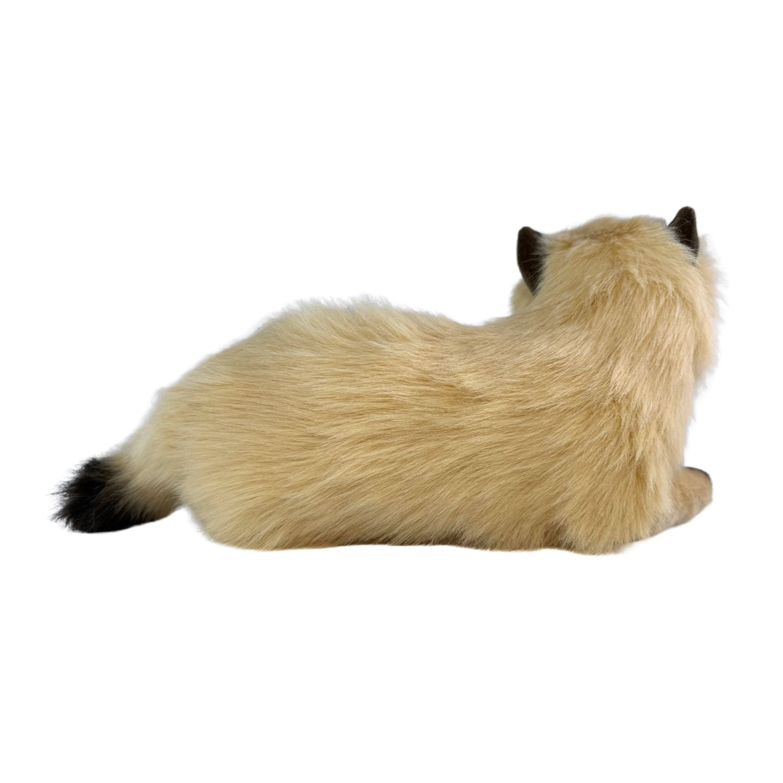 Violet - Himalayan Cat - 38cm, lying