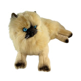 Violet - Himalayan Cat - 38cm, lying