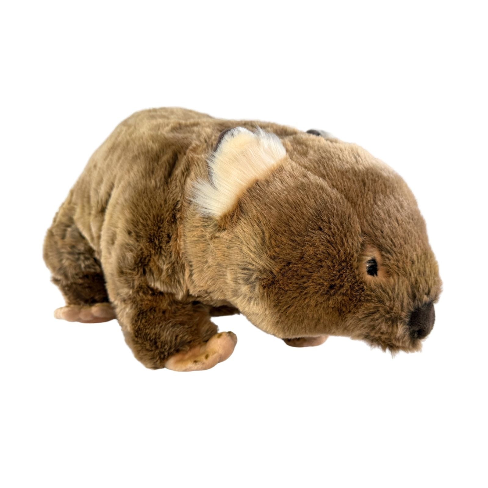 Wallis wombat plush toy with satin pocket