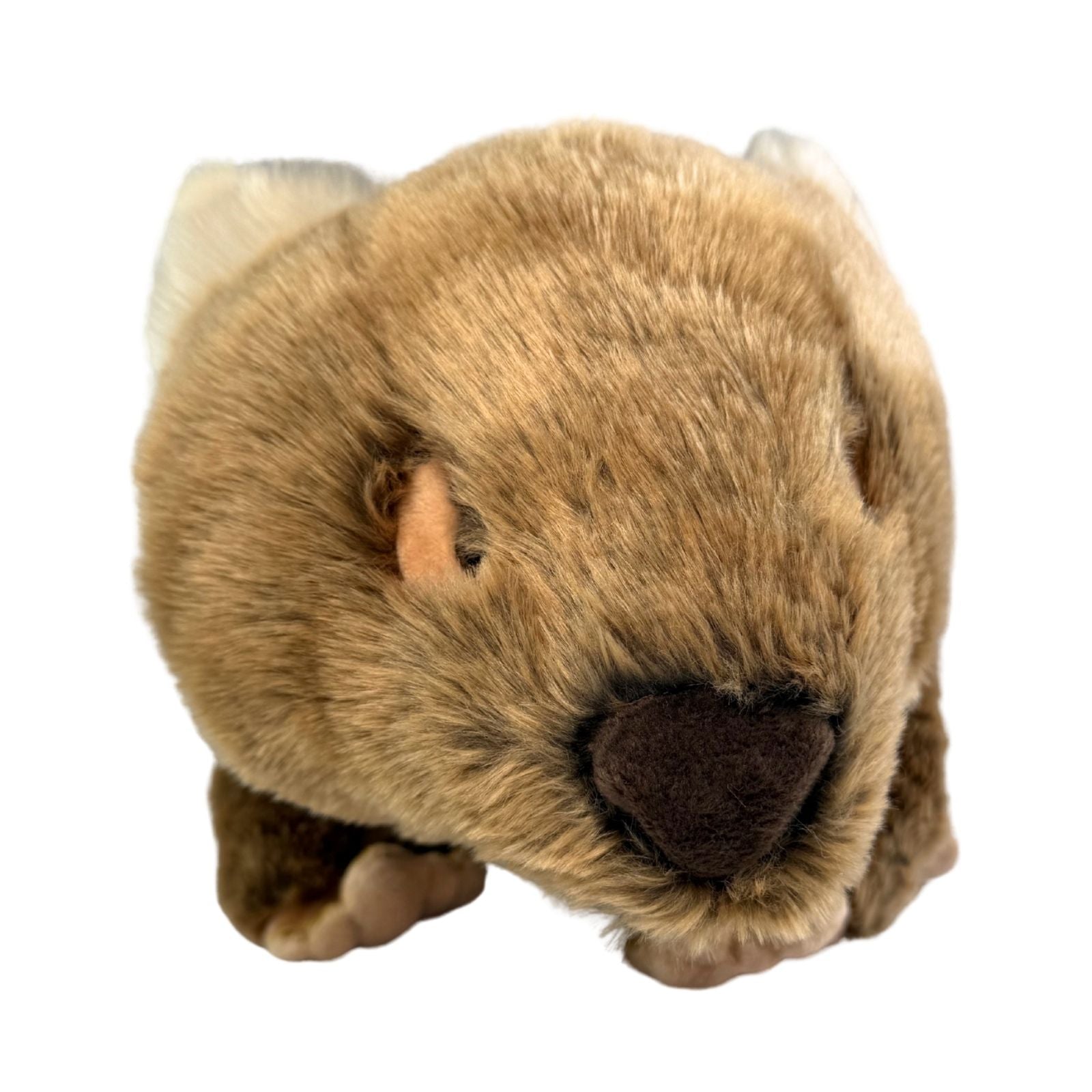 Wallis wombat plush toy with satin pocket front view