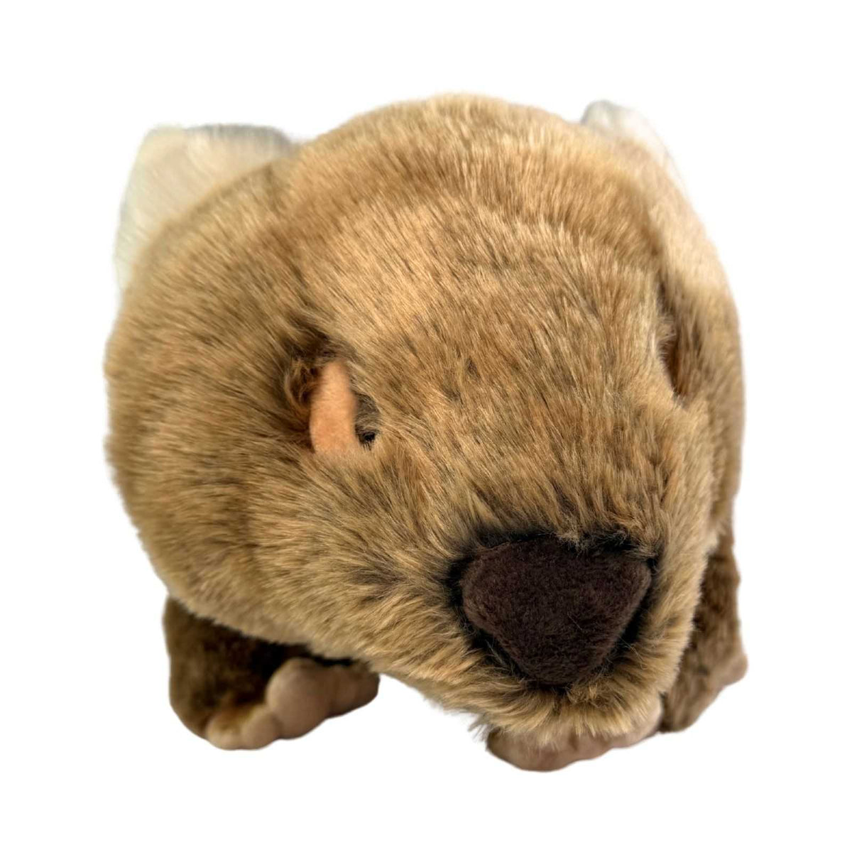 Wallis wombat plush toy with satin pocket front view