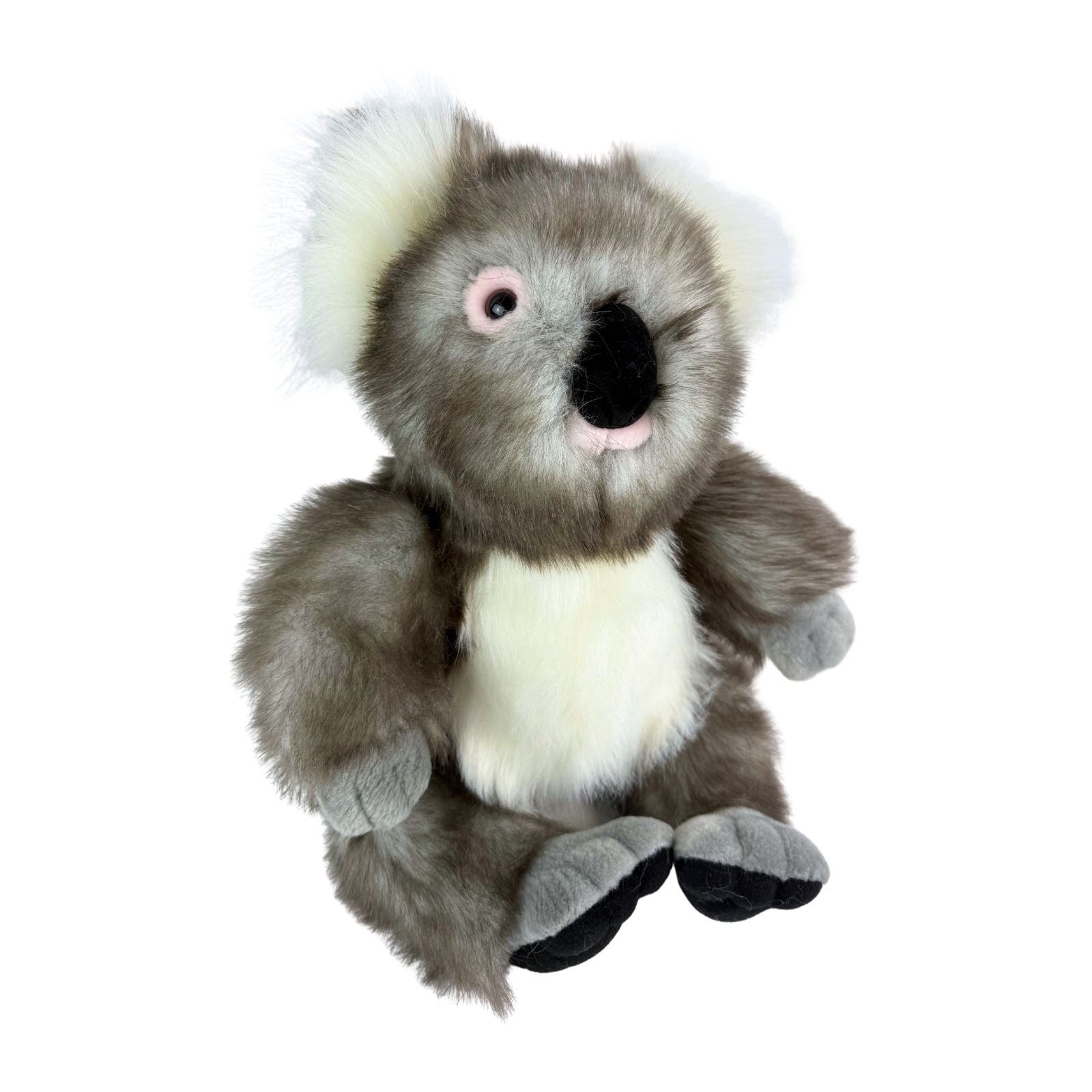 Plush toy koala on a white background