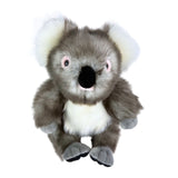 Plush toy koala on a white background