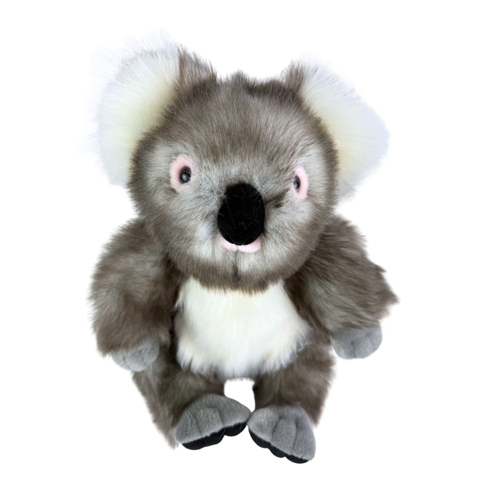 Plush toy koala on a white background