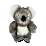 Plush toy koala on a white background
