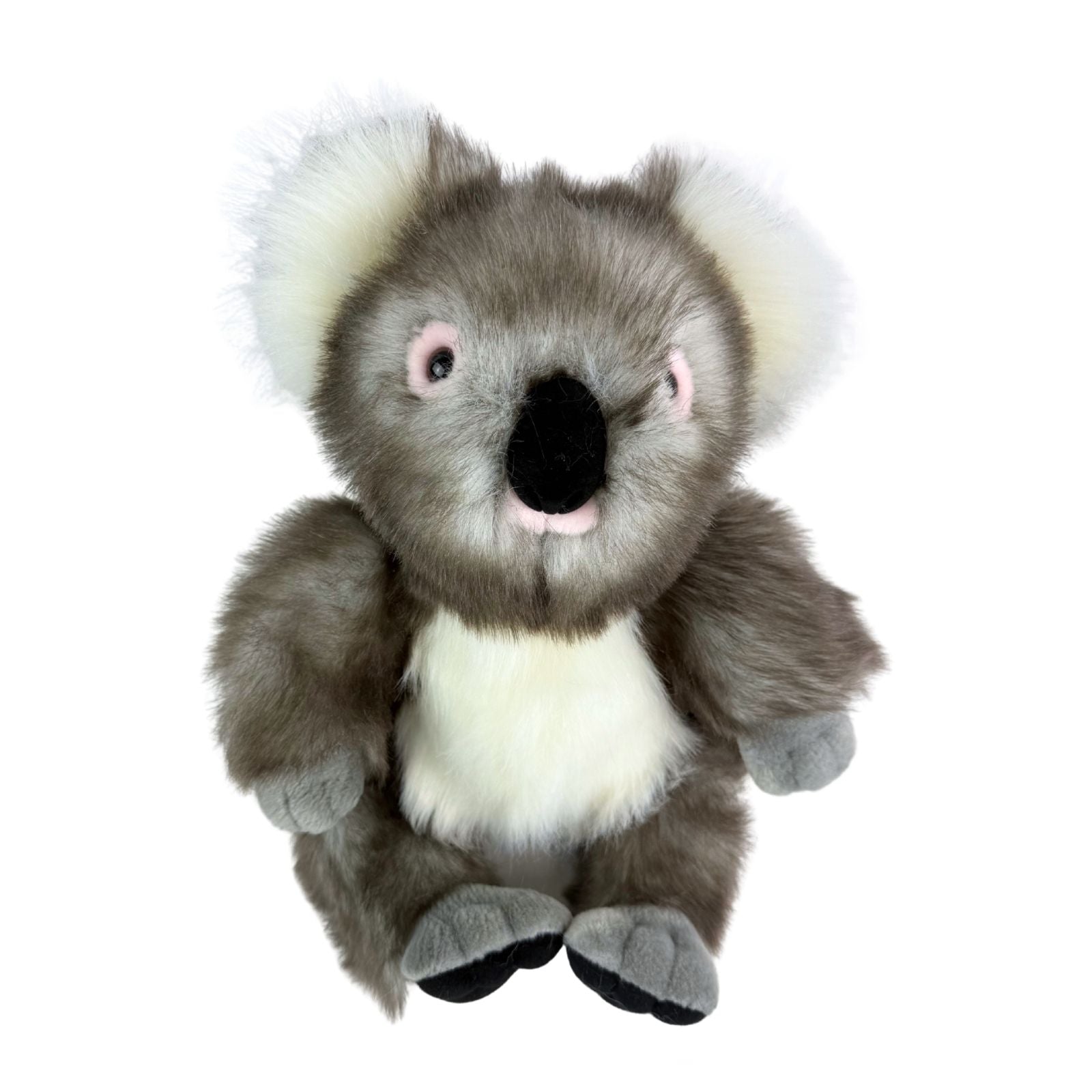 Plush toy koala on a white background