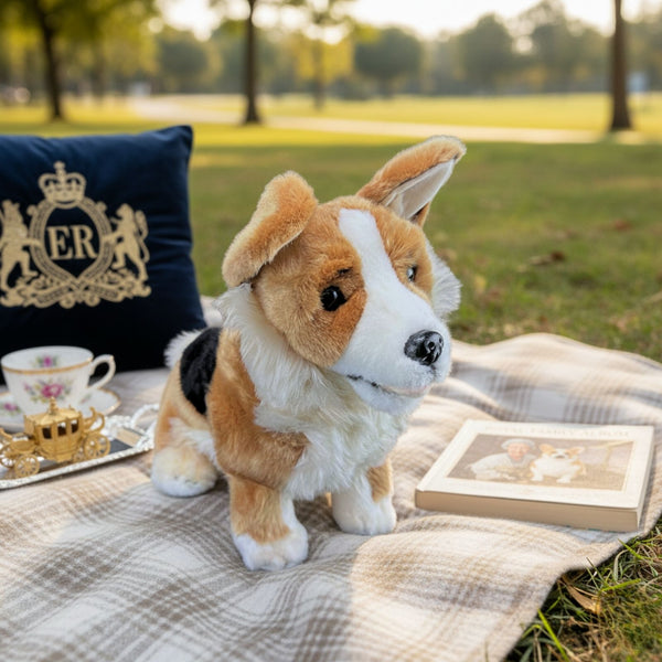 Windsor - Corgi - 23cm sitting
