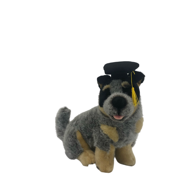 Gradhat Bluey With Graduation Hat - Cattle Dog - 22cm sitting