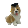 Gradhat Bailey with Graduation Hat - Border Collie - 23cm sitting, tan
