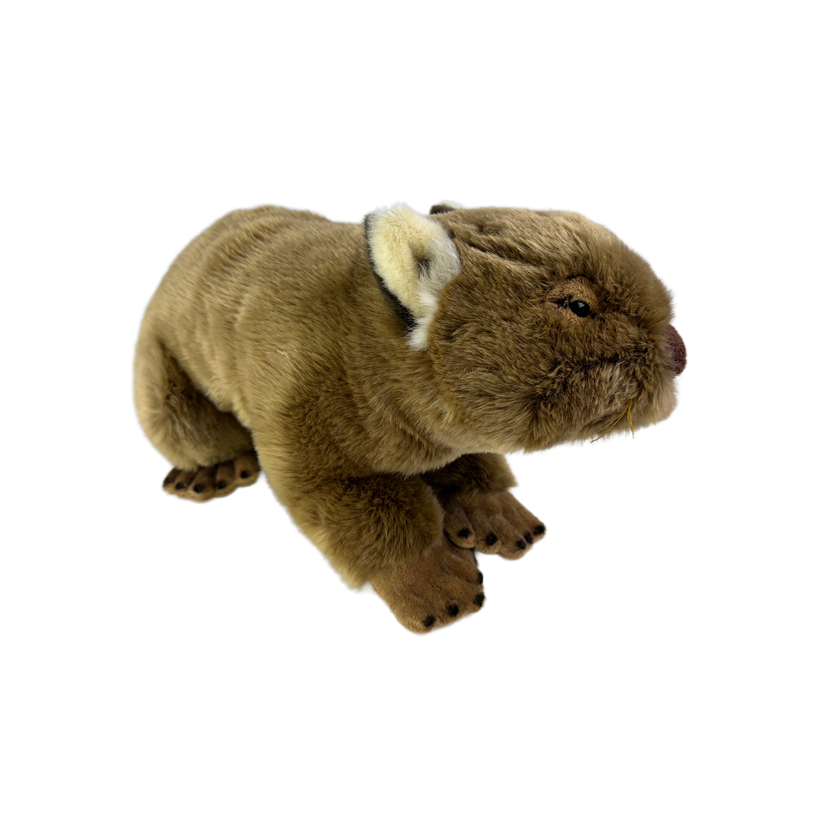 The stuffed animal is designed with soft, brown acrylic fur and features lifelike details, including small, dark eyes and a prominent brown nose.