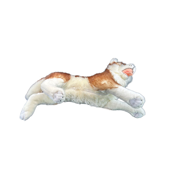 Cade - Husky with satin pocket - 62cm lying, red
