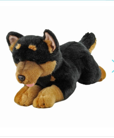 Gadget (Kelpie - 28cm floppy, black and tan)