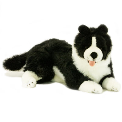 Starsky (Border Collie - 40cm lying)