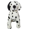 Pebbles (Dalmatian - 38cm sitting)