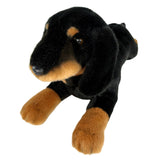 Frankie - Dachshund - 30cm floppy, black and tan