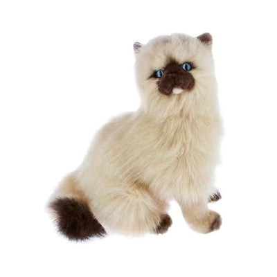 Toffee (Himalayan Cat - 34cm sitting)