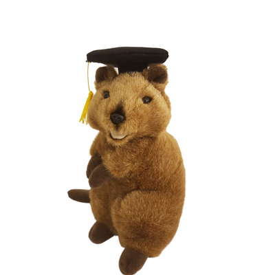 Graduation Hat - Size L