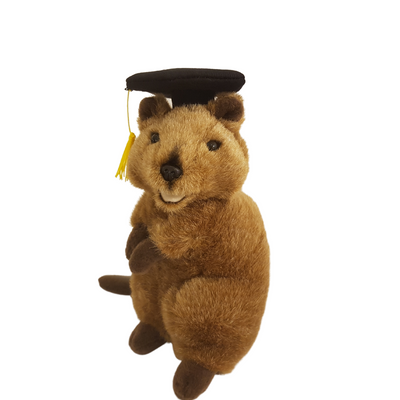 Gradhat Sheldon (Edward with Graduation Hat) (Quokka - 21cm standing)