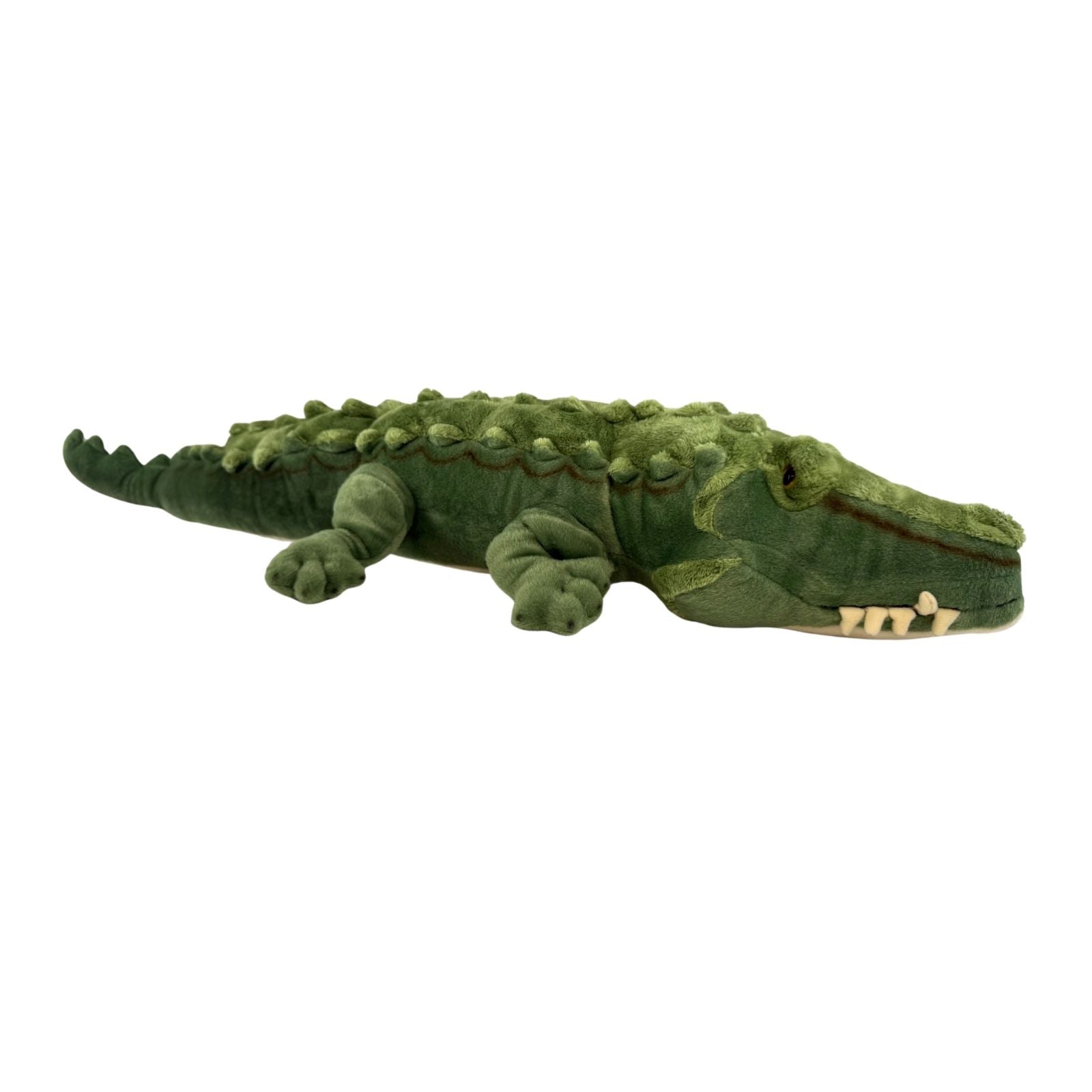 Green plush alligator toy on a white background