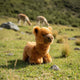 a charming brown plush toy alpaca in a lying position
