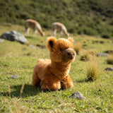 a charming brown plush toy alpaca in a lying position