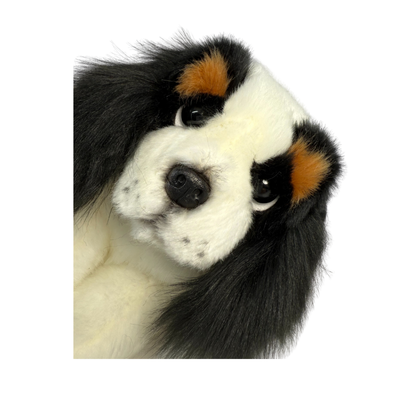 Alex - King Charles - 28cm floppy
